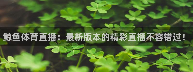 鲸鱼体育直播：最新版本的精彩直播不容错过！