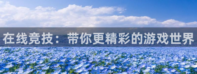 在线竞技：带你更精彩的游戏世界