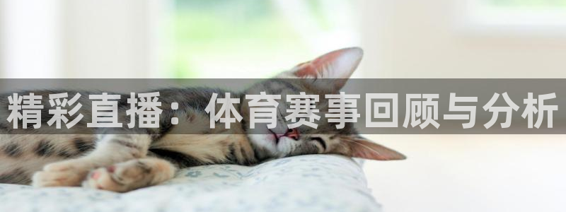 精彩直播：体育赛事回顾与分析