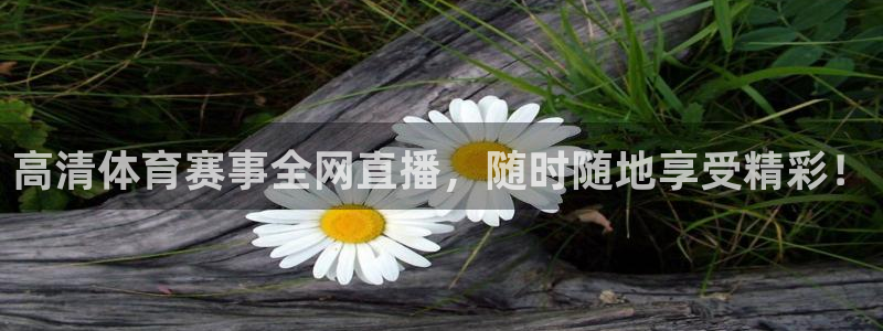 高清体育赛事全网直播，随时随地享受精彩！