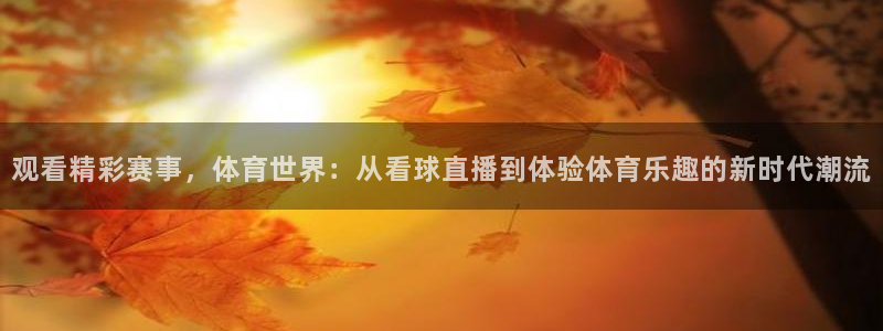 观看精彩赛事，体育世界：从看球直播到体验体育乐趣的新时代潮流