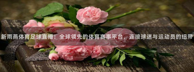 新雨燕体育足球直播：全球领先的体育赛事平台，连接球迷与运动员的纽带