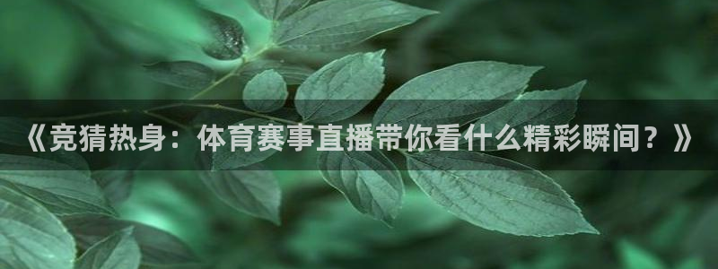 《竞猜热身：体育赛事直播带你看什么精彩瞬间？》
