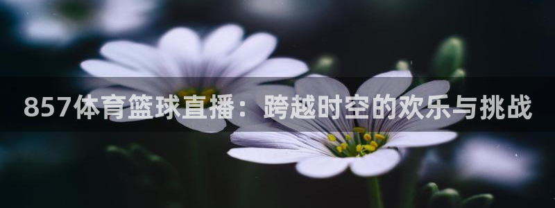 857体育篮球直播：跨越时空的欢乐与挑战