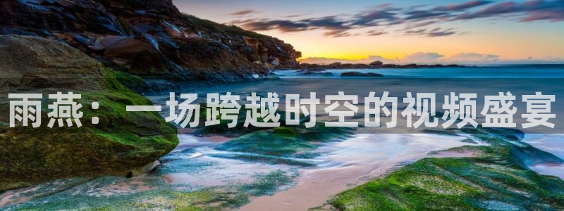 雨燕：一场跨越时空的视频盛宴