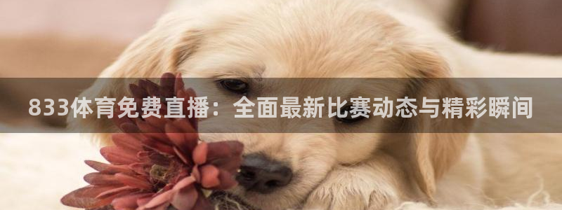 833体育免费直播：全面最新比赛动态与精彩瞬间