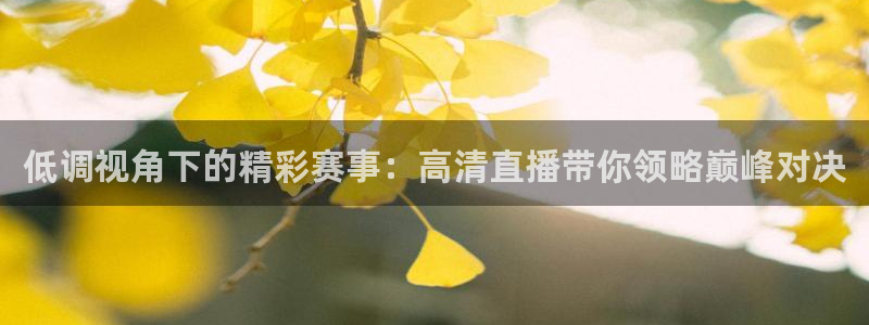 低调视角下的精彩赛事：高清直播带你领略巅峰对决