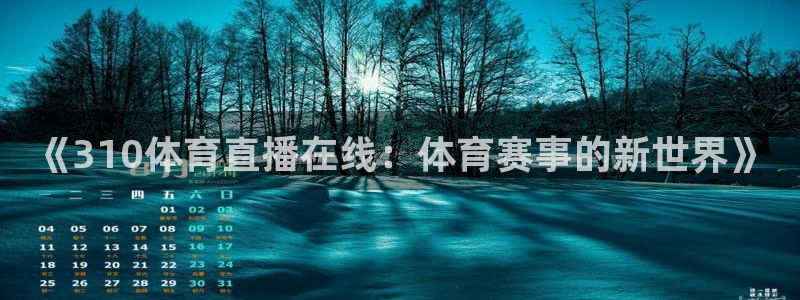 《310体育直播在线：体育赛事的新世界》