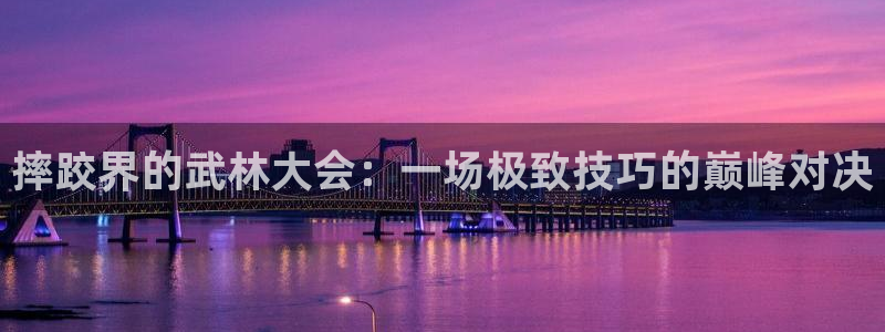 摔跤界的武林大会：一场极致技巧的巅峰对决