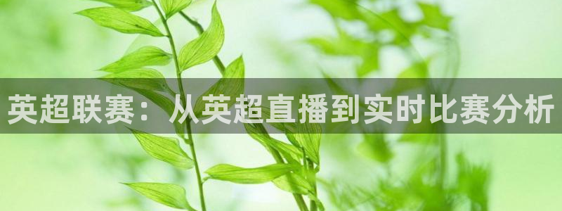 英超联赛：从英超直播到实时比赛分析