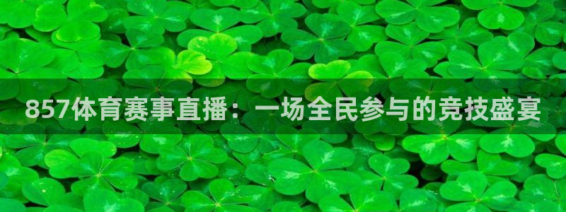 857体育赛事直播：一场全民参与的竞技盛宴