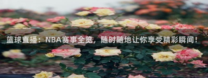 篮球直播：NBA赛事全览，随时随地让你享受精彩瞬间！