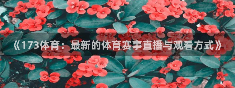 《173体育：最新的体育赛事直播与观看方式》