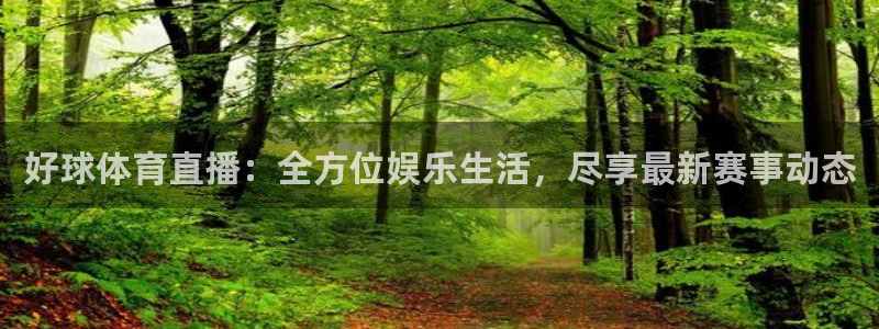好球体育直播：全方位娱乐生活，尽享最新赛事动态