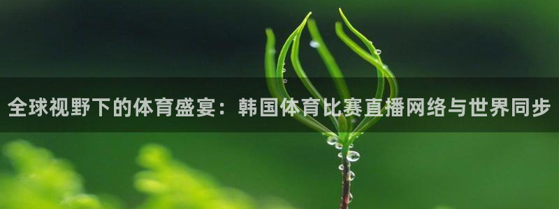 全球视野下的体育盛宴：韩国体育比赛直播网络与世界同步