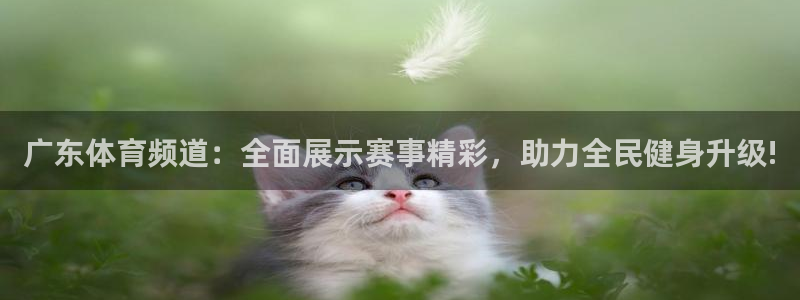 广东体育频道：全面展示赛事精彩，助力全民健身升级!
