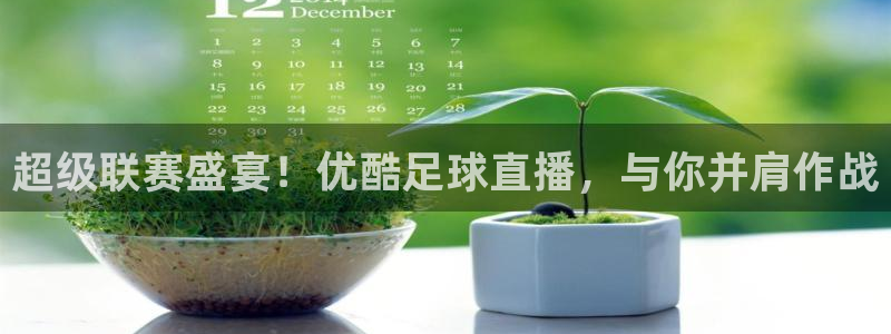 超级联赛盛宴！优酷足球直播，与你并肩作战