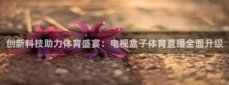 创新科技助力体育盛宴：电视盒子体育直播全面升级