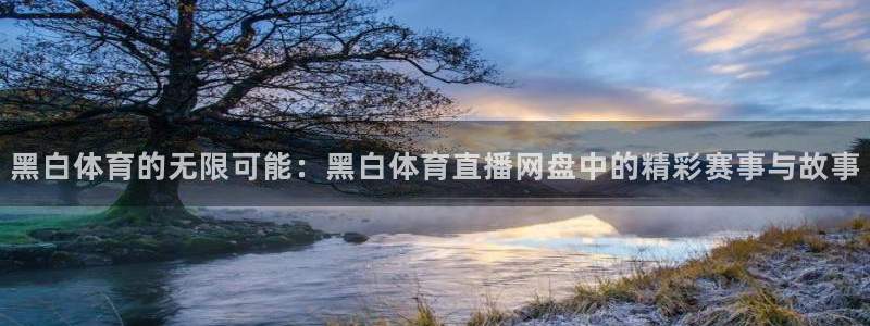 黑白体育的无限可能：黑白体育直播网盘中的精彩赛事与故事