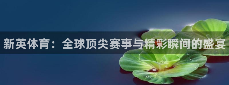 新英体育：全球顶尖赛事与精彩瞬间的盛宴