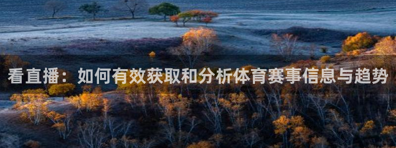 看直播：如何有效获取和分析体育赛事信息与趋势