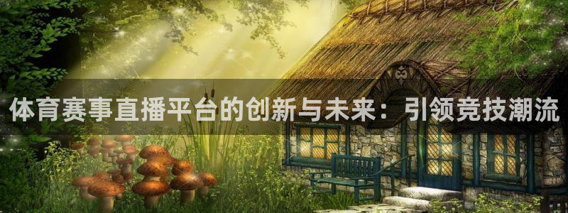 体育赛事直播平台的创新与未来：引领竞技潮流