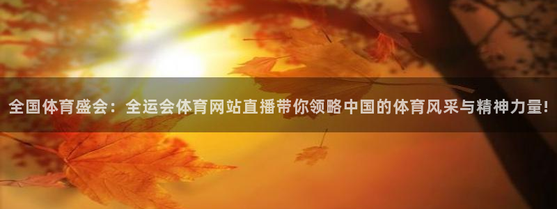 全国体育盛会：全运会体育网站直播带你领略中国的体育风采与精神力量!