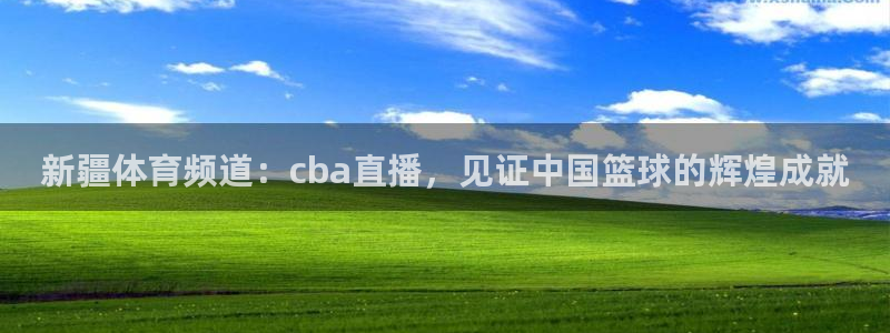新疆体育频道：cba直播，见证中国篮球的辉煌成就