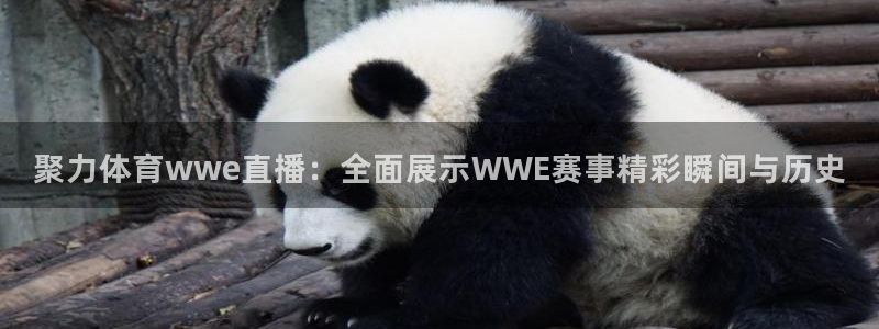 聚力体育wwe直播：全面展示WWE赛事精彩瞬间与历史