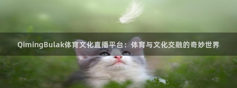 QimingBulak体育文化直播平台：体育与文化交融的奇妙世界
