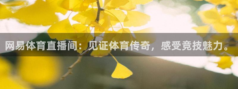 网易体育直播间：见证体育传奇，感受竞技魅力。