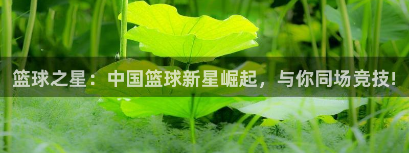 篮球之星：中国篮球新星崛起，与你同场竞技!