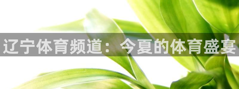 辽宁体育频道：今夏的体育盛宴