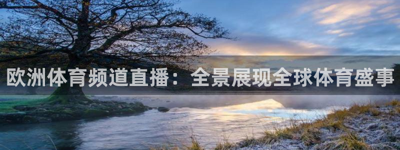 欧洲体育频道直播：全景展现全球体育盛事