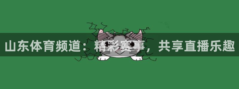 山东体育频道：精彩赛事，共享直播乐趣