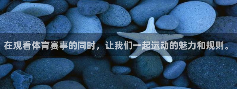 在观看体育赛事的同时，让我们一起运动的魅力和规则。