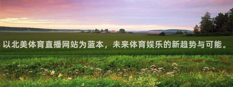 以北美体育直播网站为蓝本，未来体育娱乐的新趋势与可能。