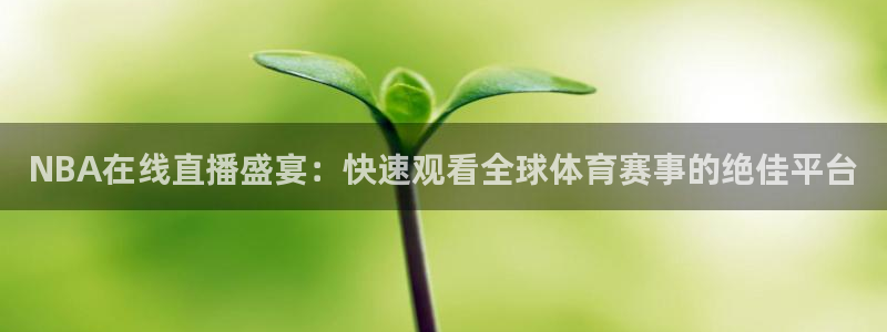 NBA在线直播盛宴：快速观看全球体育赛事的绝佳平台