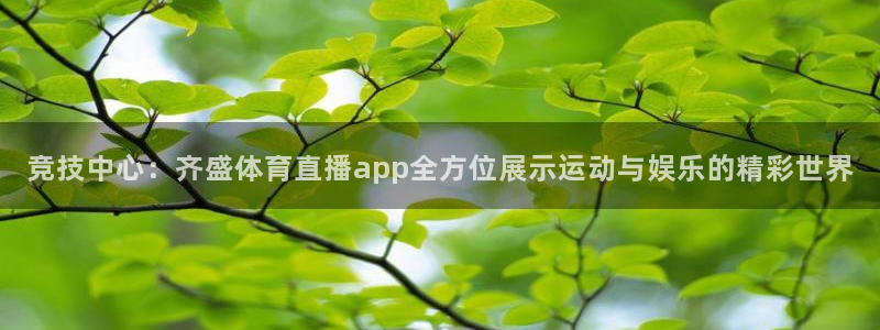 竞技中心：齐盛体育直播app全方位展示运动与娱乐的精彩世界