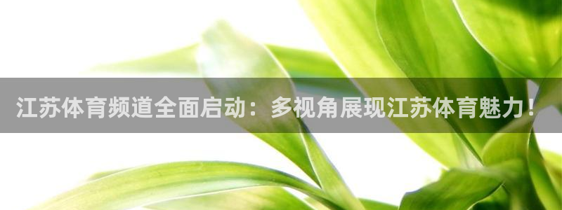 江苏体育频道全面启动：多视角展现江苏体育魅力！