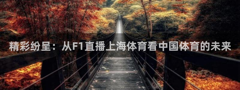 精彩纷呈：从F1直播上海体育看中国体育的未来
