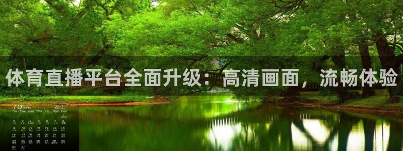 体育直播平台全面升级：高清画面，流畅体验