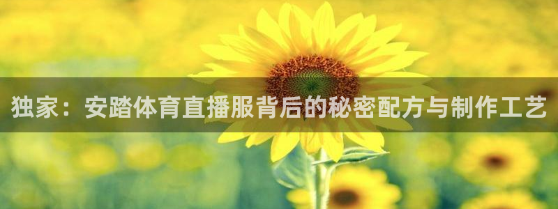 独家：安踏体育直播服背后的秘密配方与制作工艺