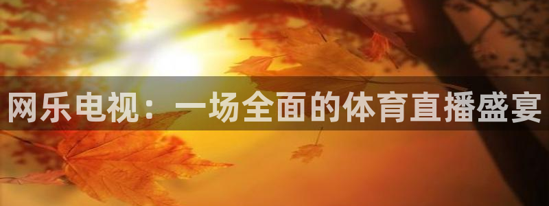 网乐电视：一场全面的体育直播盛宴