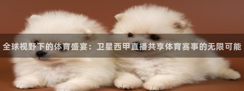 全球视野下的体育盛宴：卫星西甲直播共享体育赛事的无限可能
