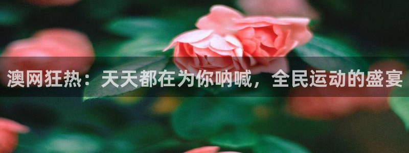 澳网狂热：天天都在为你呐喊，全民运动的盛宴
