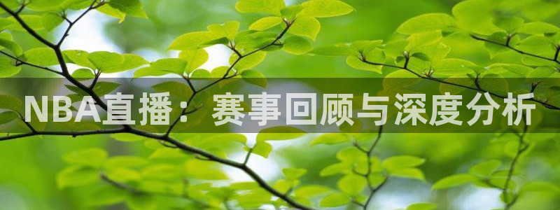 NBA直播：赛事回顾与深度分析
