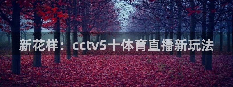 新花样：cctv5十体育直播新玩法
