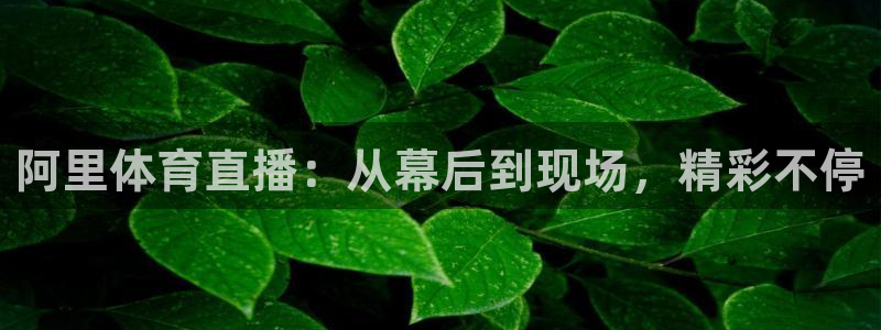 阿里体育直播：从幕后到现场，精彩不停