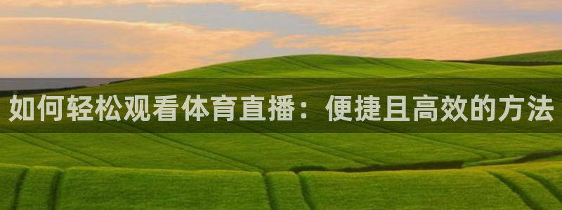 如何轻松观看体育直播：便捷且高效的方法